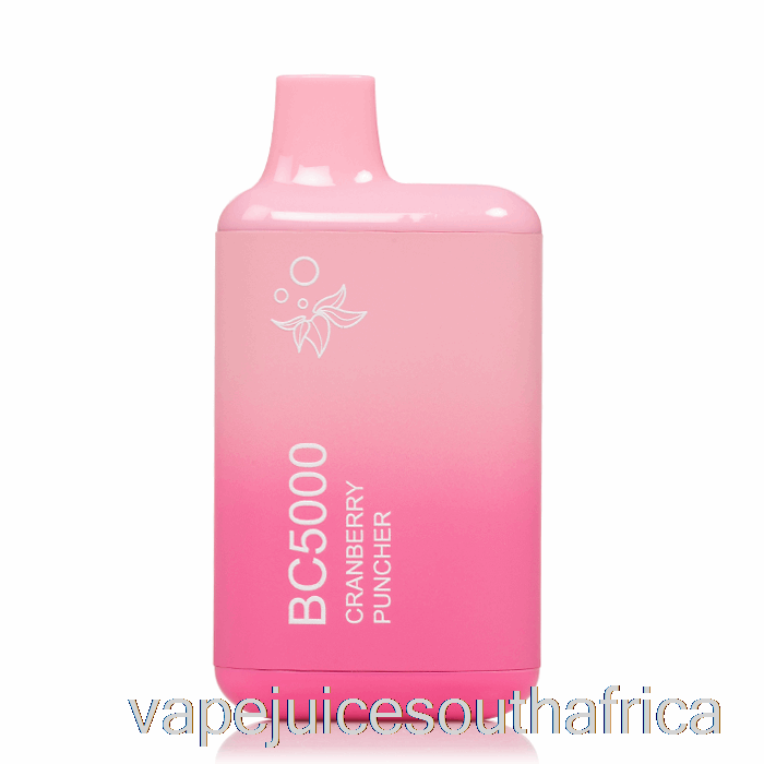 Vape Juice South Africa Bc5000 Disposable Cranberry Punch